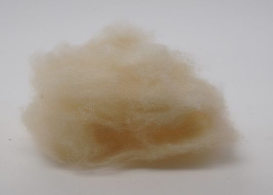 2.5Dx51mm hohes elastisches nicht Gewebes-Polyester für Automobilinnenraum