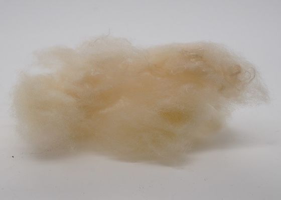 2.5Dx51mm hohes elastisches nicht Gewebes-Polyester für Automobilinnenraum
