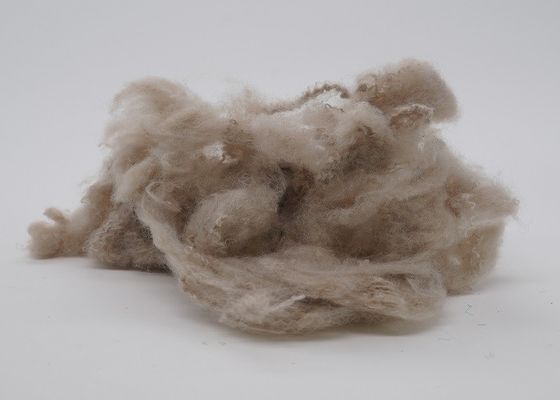 2.5Dx51mm hohes elastisches nicht Gewebes-Polyester für Automobilinnenraum
